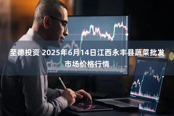 至德投资 2025年6月14日江西永丰县蔬菜批发市场价格行情