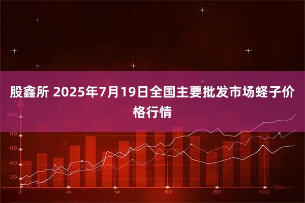 股鑫所 2025年7月19日全国主要批发市场蛏子价格行情