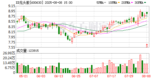 鑫恒盈配资 龙头股份：2024年年度权益分派实施公告