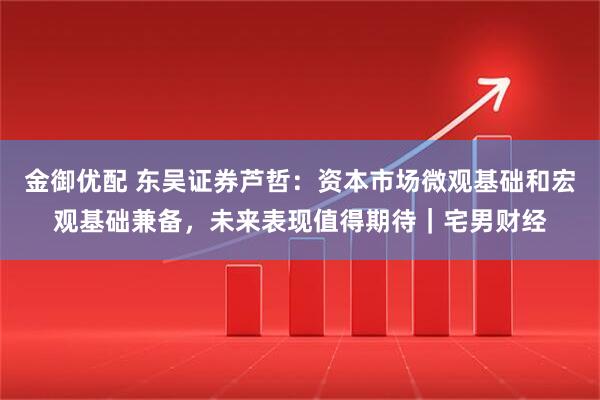 金御优配 东吴证券芦哲：资本市场微观基础和宏观基础兼备，未来表现值得期待｜宅男财经