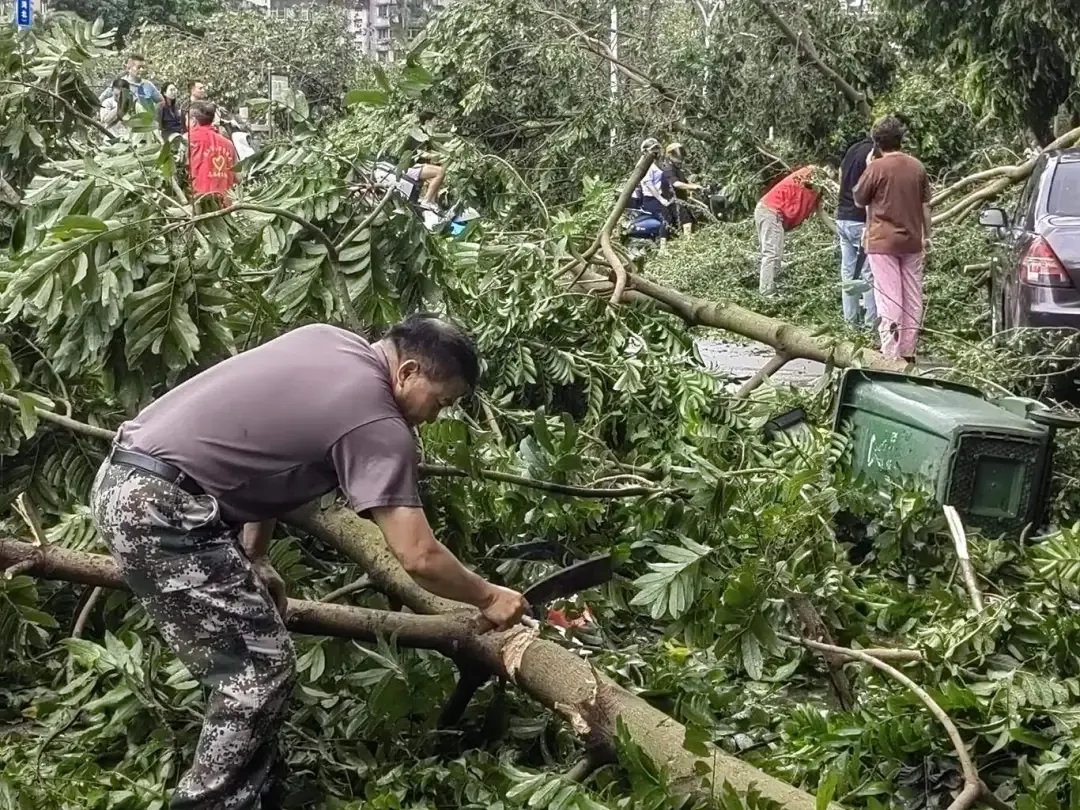 广信配资 赤坎区政法机关全力防御台风保平安